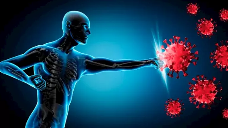 بعيدًا عن المكملات.. أطعمة بسيطة تحميك من العدوى