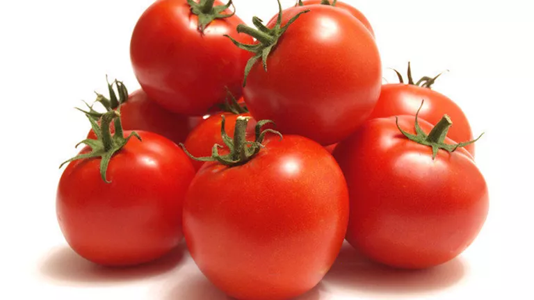 طرق آمنة لتنظيف الطماطم من المبيدات قبل الطهي.. لن تتوقعها