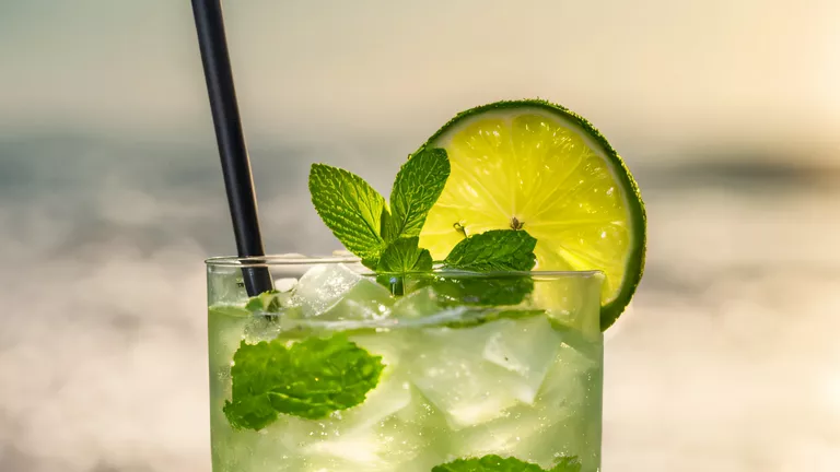 احرص عليها.. فوائد صحية مذهلة لمزيج الليمون والنعناع