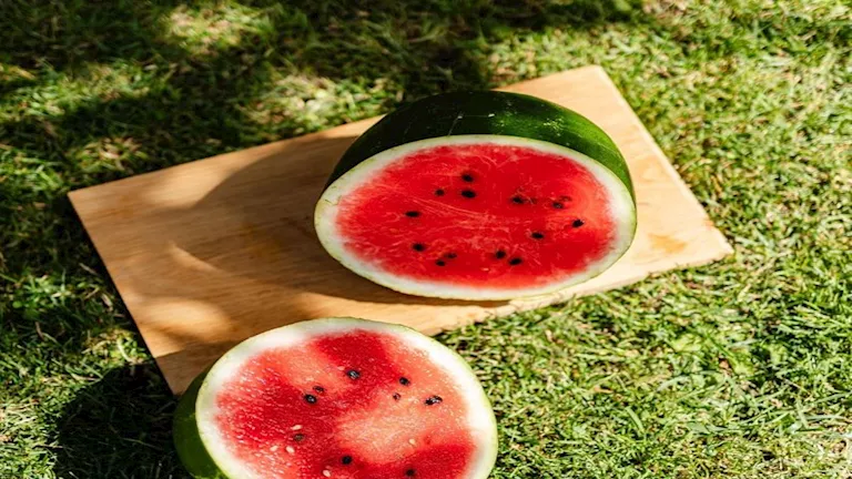 هل تناول البطيخ خارج موسمه آمن؟ تحذيرات ونصائح مهمة