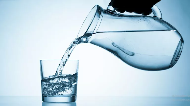 احذر شرب الماء واقفا.. يضر الرئة والمعدة والكلى والجهاز الهضمي