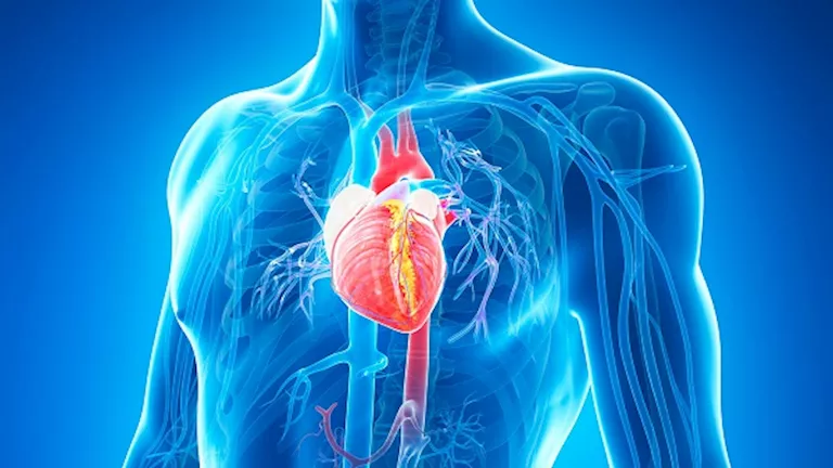 كيف يؤثر اتباع حمية داش على الجسم ومستويات ضغط الدم؟