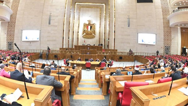 مقترح برلماني بشأن تبني نموذج «التوأمة المؤسسية» لتطوير خدمات الطوارئ بالمستشفيات