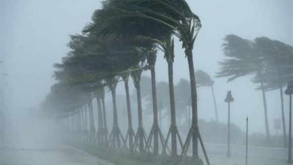 عاصفة تضرب مصر.. أمطار رعدية وبرد ورياح قوية تبلغ ذروتها اليوم وتحذيرات عاجلة للمواطنين