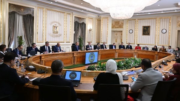 رئيس الوزراء: سعر كيلو الطماطم في أسواق الجملة من 15 إلى 20 جنيهاً رئيس الوزراء: سعر كيلو الطماطم في أسواق الجملة من 15 إلى 20 جنيهاً