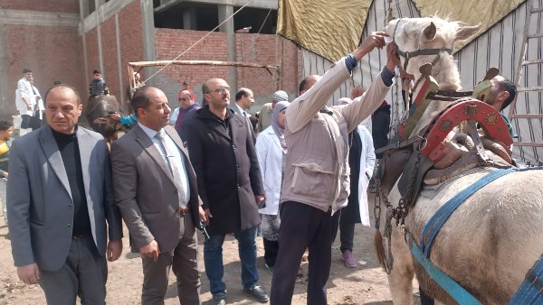 محافظ الدقهلية يتابع جهود مديرية الطب البيطري في تسيير قوافل بيطرية
