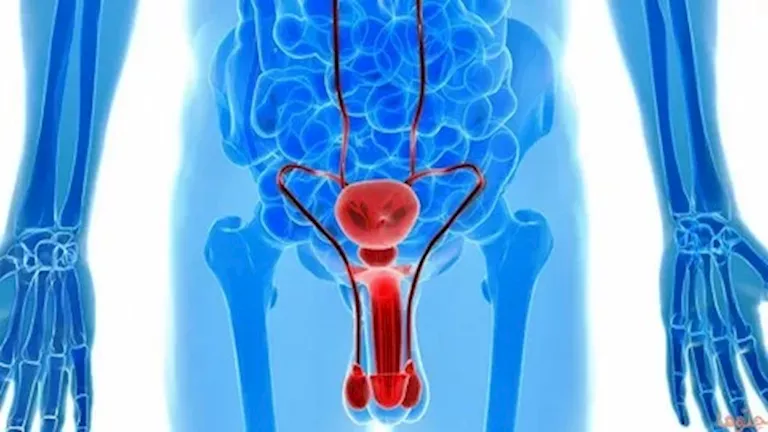 علامة صامتة قد تكشف سرطان الخصية مبكرًا.. هل تنتبه لها؟