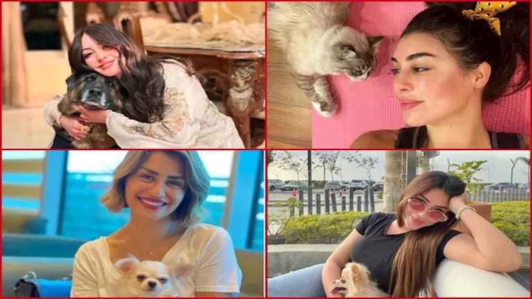 فنانات ظهرن بصحبة حيوانات أليفة بينهن فيدرا ونرمين الفقي