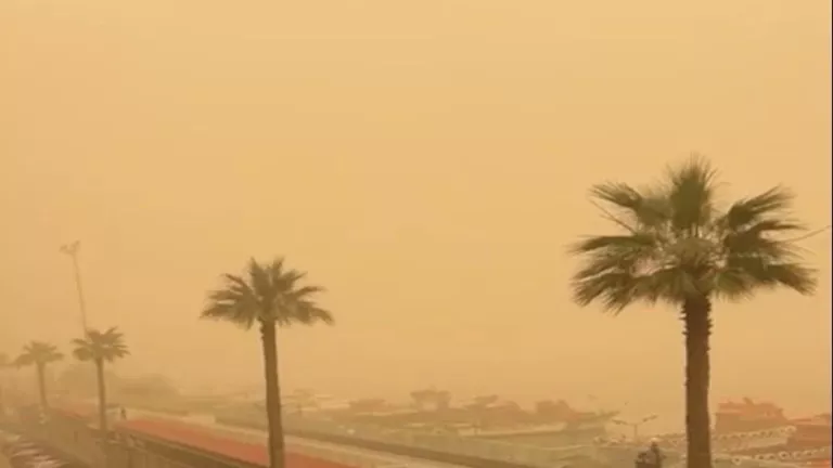 الرياح الخماسين.. كيف تحمي نفسك من الأتربة؟