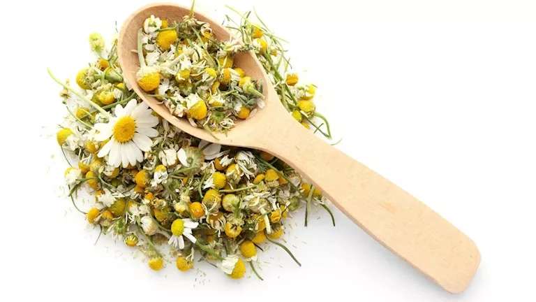 هل يمكن لكوب يومي من البابونج أن يمنحك الهدوء بشكل ملحوظ؟