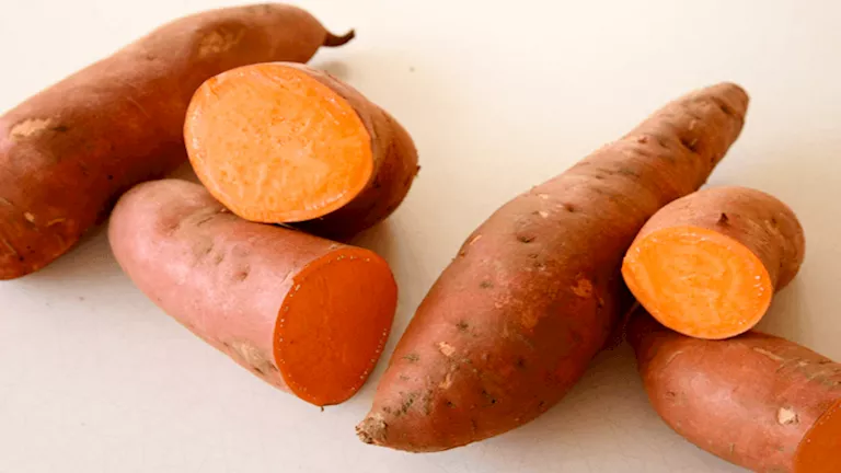 قشر البطاطا الحلوة.. فوائد مهمة وتحذيرات يجب الانتباه لها