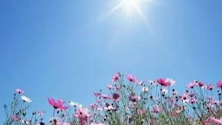 علماء يُحذرون من كارثة مناخية عالمية