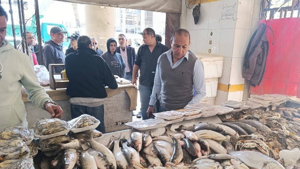 تموين بورسعيد تحبط محاولة بيع كمية من أسماك لوت متحللة