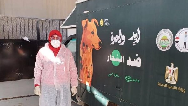 بورسعيد.. استمرار الحملات المكثفة للتعامل مع الكلاب الضالة ونقلها إلى الشيلتر