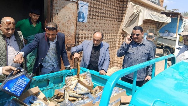 قبل شم النسيم.. ضبط نصف طن “رنجة” غير صالحة للإستهلاك بالحسينية