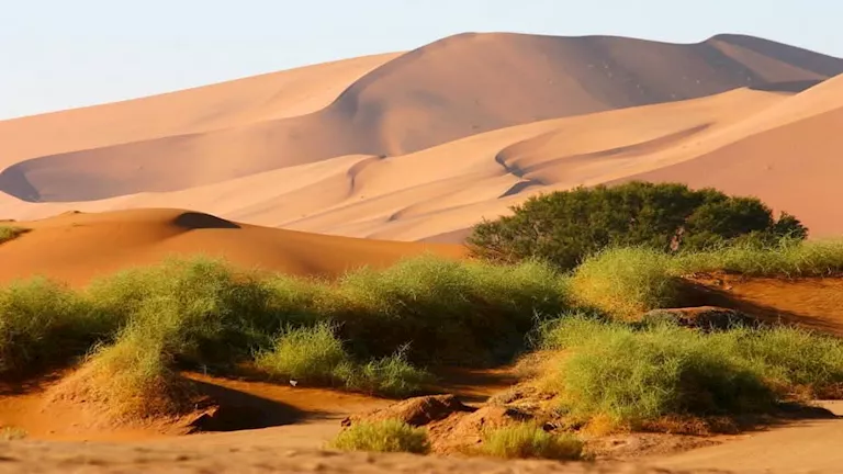 أجمل الحدائق الوطنية في العالم.. من توريس ديل باين إلى سيرينجيتي ويوسي | مصراوي