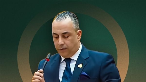 مبادرة الرئيس السيسي لمبادلة الديون بالتنمية تكسر دوامة الاقتراض