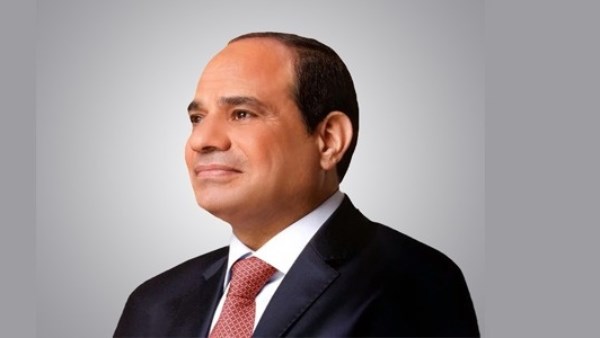 مصر ستظل شريكا فاعلا في دعم مسيرة التنمية والبناء بالدول الإفريقية الشقيقة