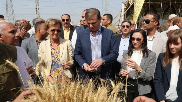 ذكرى 30 يونيو.. طفرة تاريخية في القطاع الزراعي والأمن الغذائي في عهد الرئيس السيسي