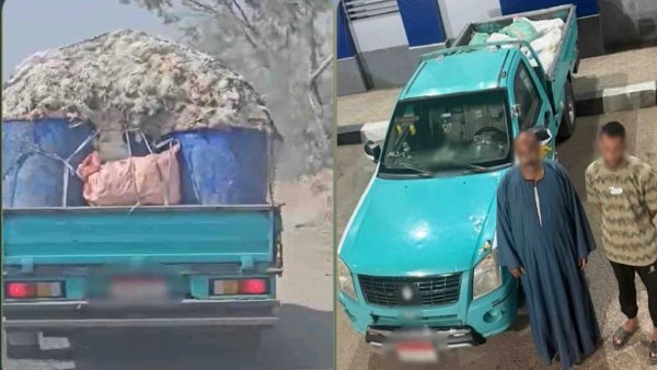 بعد انتشار الفيديو.. ضبط سيارة نصف نقل محملة بدواجن نافقة بالشرقية