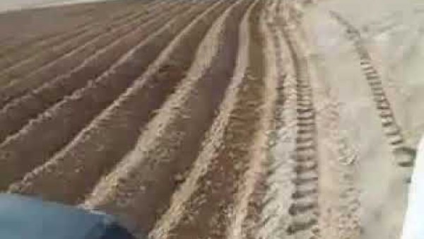 البنك الزراعي المصري والأمثال الشعبية.. تراث يعكس فلسفة العمل في الأرض ودعم التنمية الزراعية