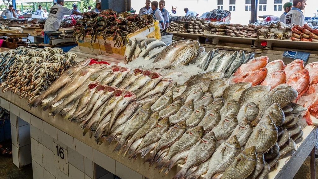 ارتفاع في سعر البلطي والجمبري.. قائمة بأسعار الأسماك اليوم بالأسواق