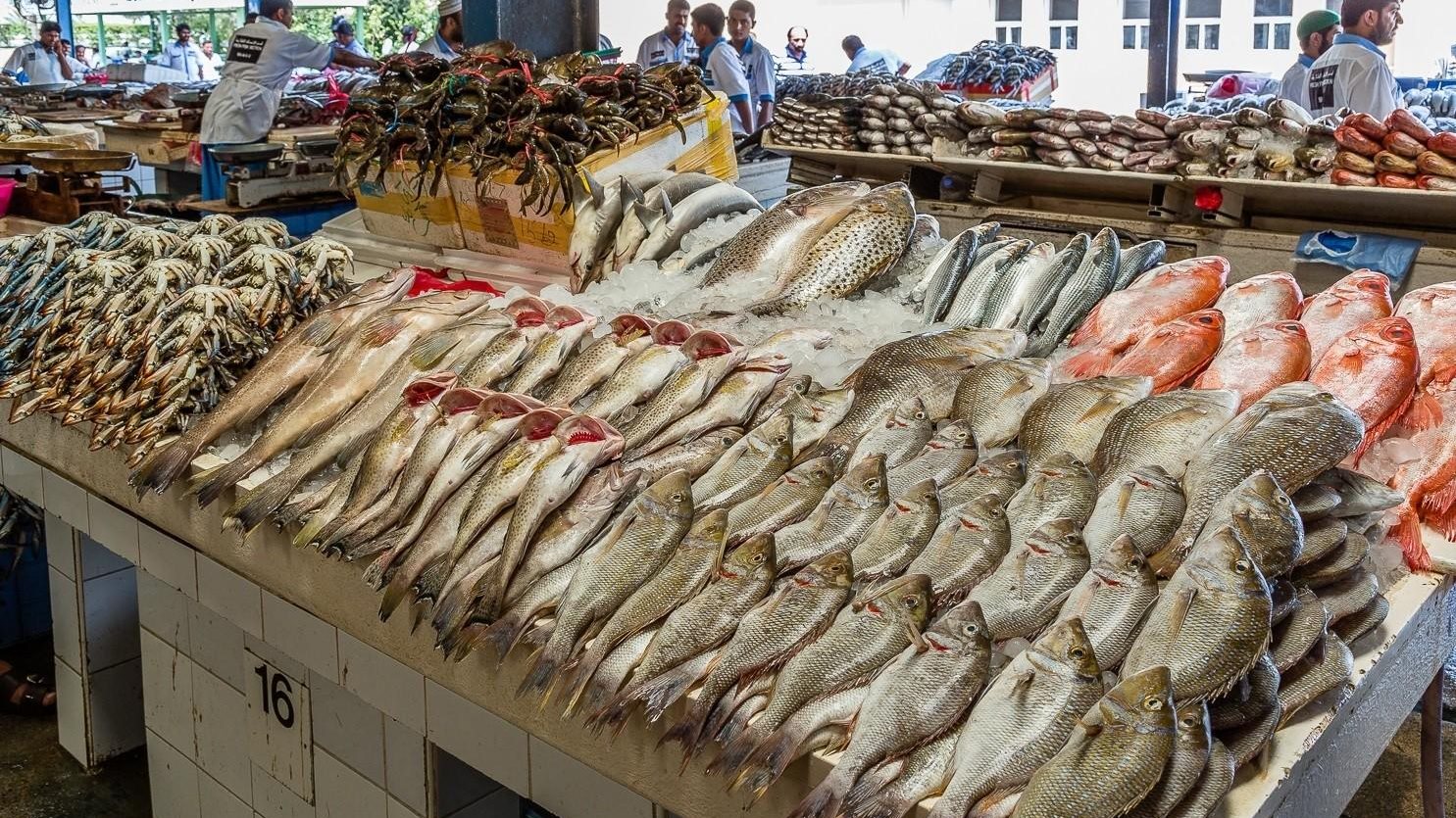 سعر السمك والجمبري اليوم الاحد