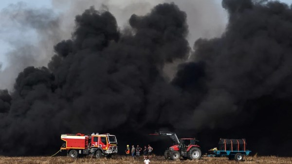 فرنسا تواجه أزمة خضروات بسبب موجات الحر .. والبصل والطماطم في المقدمة