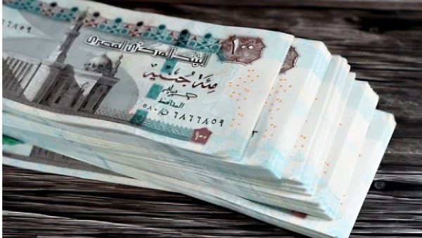منحة العمالة غير المنتظمة