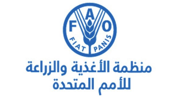 تقرير أممي يحمّل سياسات الدعم الزراعي الأوروبية مسؤولية ارتفاع أسعار الغذاء الصحي