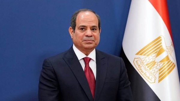 الرئيس السيسي أنقذ الوطن وحافظ على الدولة المصرية