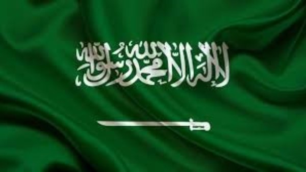 السعودية تتضامن مع الجزائر إثر ضحايا حرائق الغابات شمال شرقي البلاد