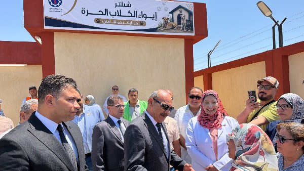 بعد شكاوى المواطنين.. محافظ السويس يبدأ تشغيل شلتر الكلاب الحرة تجريبيا لحماية الأهالي ورعاية الكلاب الحرة
