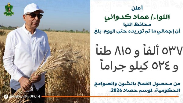 توريد 537 ألف طن قمح.. ورقابة مشددة على المنظومة