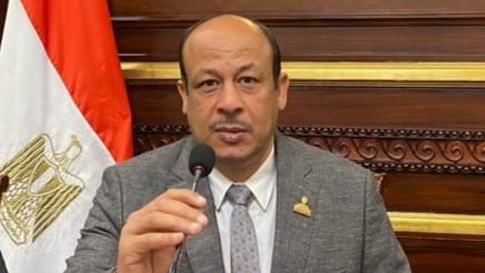 نائب يطالب بزيادة مكافآت وتوفير تأمين صحي واجتماعي لـ 15 ألف رائدة اجتماعية