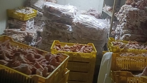 ضبط 70 طنًا من اللحوم ومقطعات وهياكل الدواجن والدهون الحيوانية الفاسدة بالجيزة