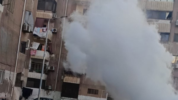 محافظ بورسعيد: حملات مكثفة لمكافحة البعوض والحشرات.. وانتشار سيارات الرش محافظ بورسعيد: حملات مكثفة لمكافحة البعوض والحشرات.. وانتشار سيارات الرش