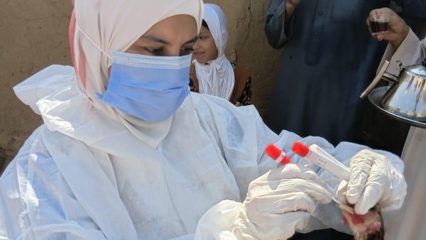 لمواجهة الأمراض الوبائية.. الزراعة تكثف حملات فحص مزارع الدواجن