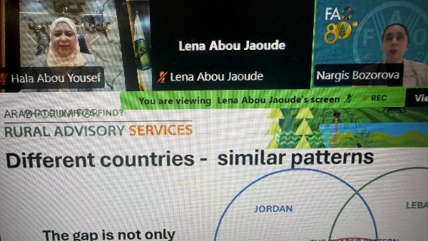 لجنة مبيدات الآفات تشارك في ويبنار إقليمي لـ “الفاو” لتعزيز الخدمات الاستشارية