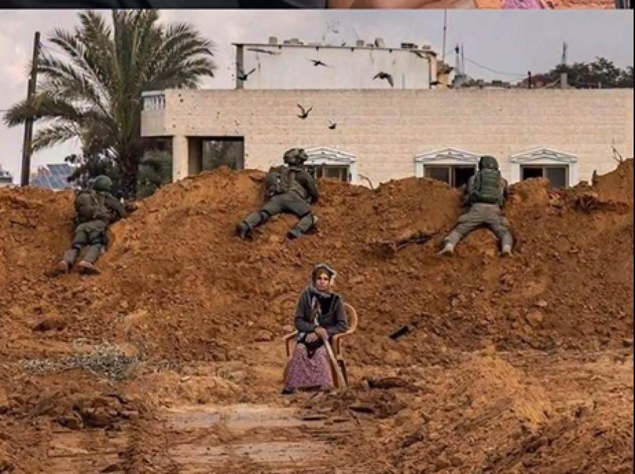 تحقيق عبري صادم: ضابط إسرائيلي أوقف إجلاء مسنّة فلسطينية وأعدمها على قارعة الطريق