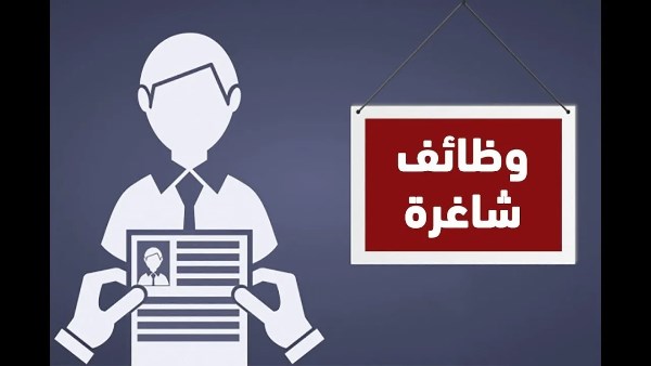 براتب 16 الف جنيه.. وظائف وزارة العمل للمهندسين والمحاسبين والفنيين
