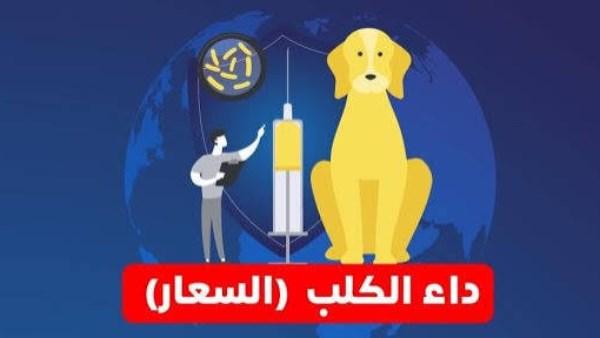 بعد وفـ.ـاة طفلة في بورسعيد بسبب السعار.. أبرز الأعراض وطرق انتقال العدوى