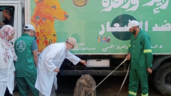 حملة لمواجهة الكلاب الضالة بقرية أخطاب في أجا بالدقهلية
