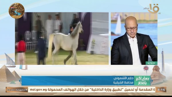 حازم الأشموني: مهرجان الخيول العربية يجسد عراقة التراث ويعزز السياحة بالشرقية حازم الأشموني: مهرجان الخيول العربية يجسد عراقة التراث ويعزز السياحة بالشرقية