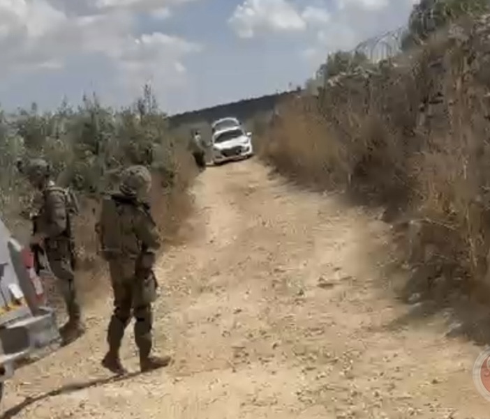المستوطنون يهاجمون مزارعي سلفيت ويمنعونهم من قطف الزيتون